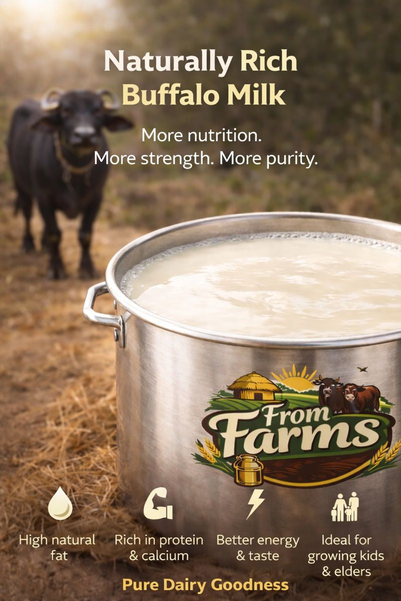 Pure Fresh Buffalo Milk (Bhais ka Doodh) – From Farms