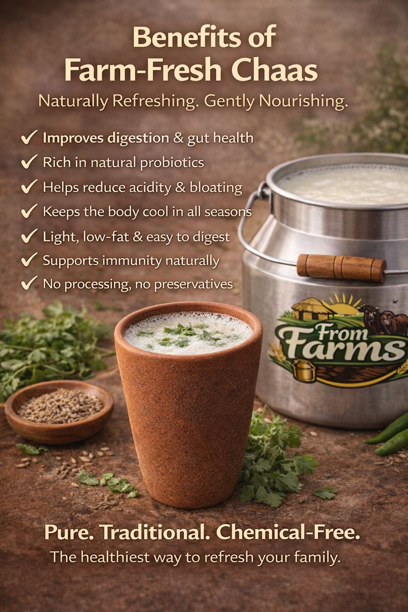 Farm-Fresh Traditional Chaas (Buttermilk) - From Farms
